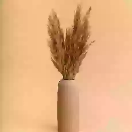  Tall Skinny Neck Vase Natural